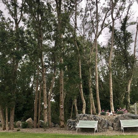 Vila Tir Na Spideoga Ennis Exteriér fotografie